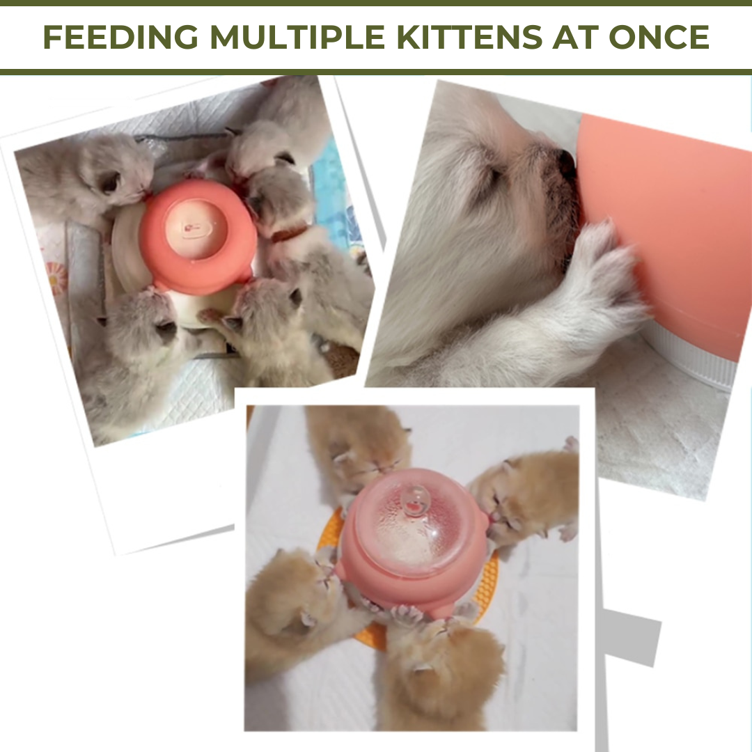 PuppyNipple - Milk Feeder Bowl